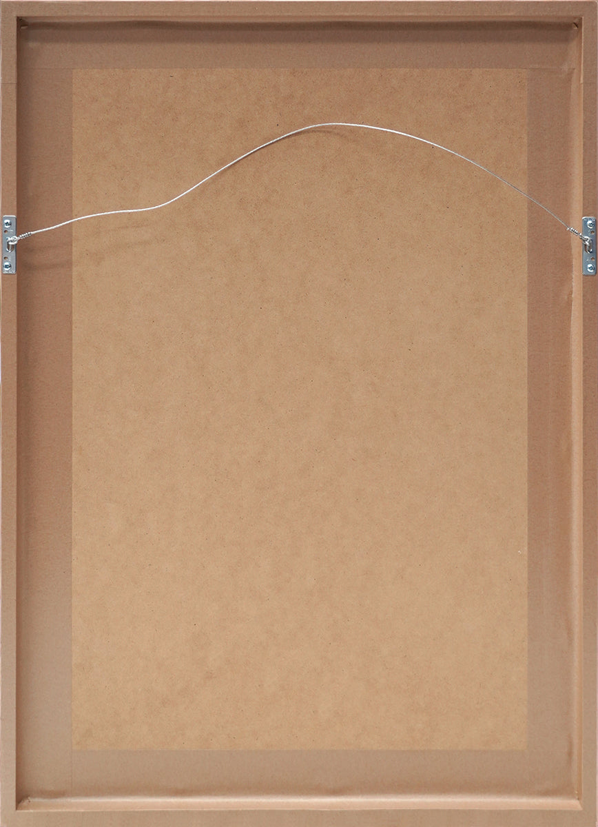An example of the back of a professionally framed art print, showing an easy hang system of a single wire across.