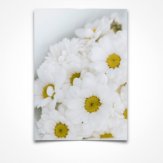 Daisy Selah