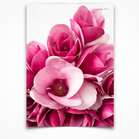 This fine art print is set in a portrait aspect. It shows a brightly pink coloured bunch of Magnolia flowers set on a white background. 