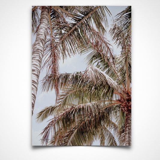 Noosa Palms Breathe