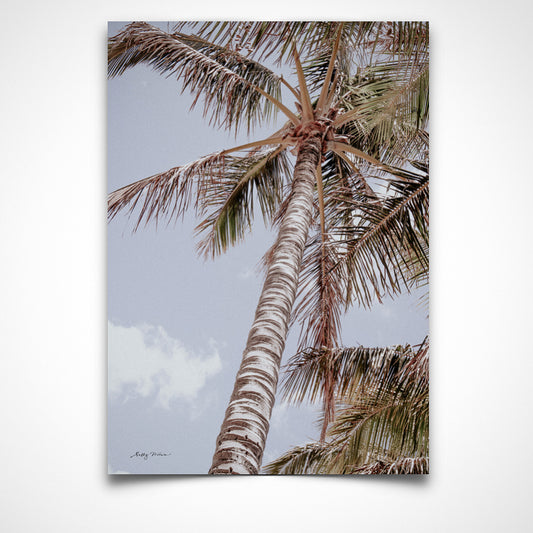 Noosa Palms Calm