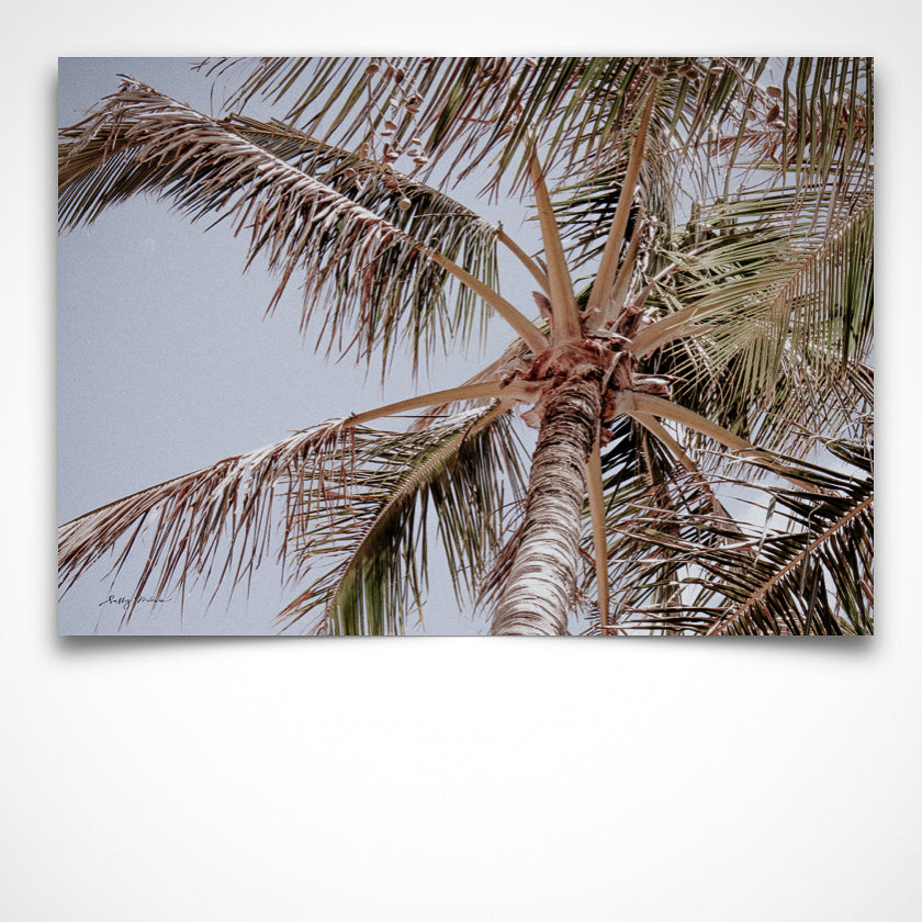 Noosa Palms Serene