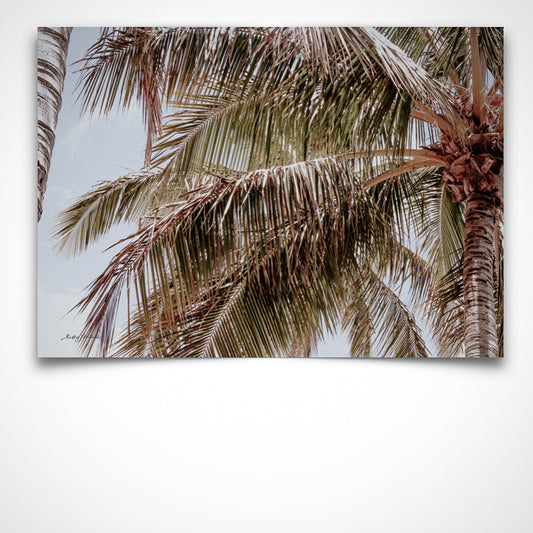 Noosa Palms Tranquil