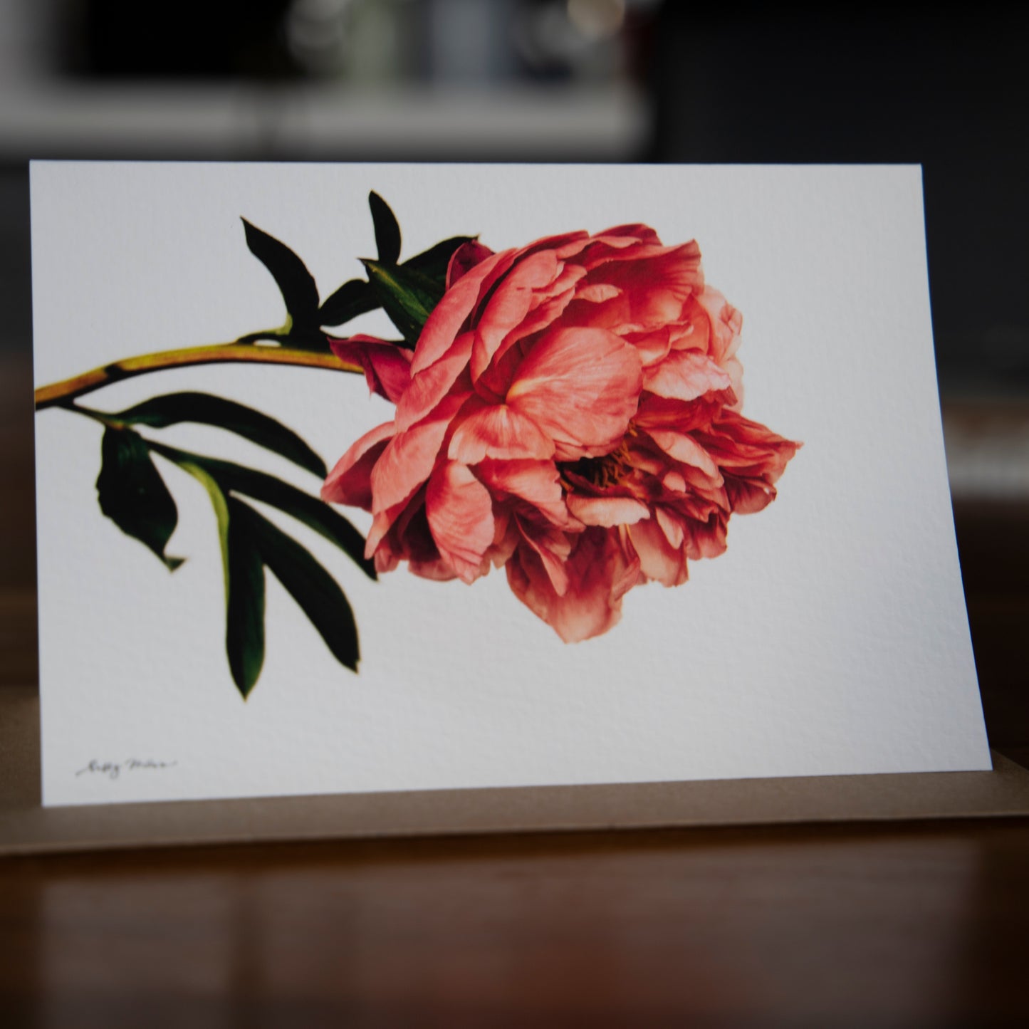 Starburst Peony Card