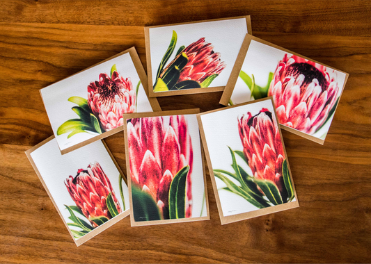 Happy Protea Card Set