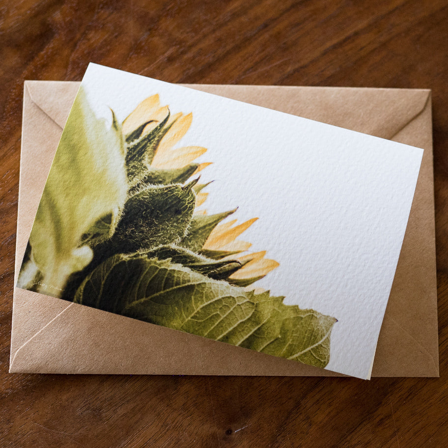 Sunflower Card Set