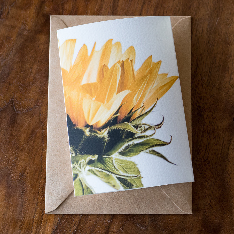 Sunflower Card Set