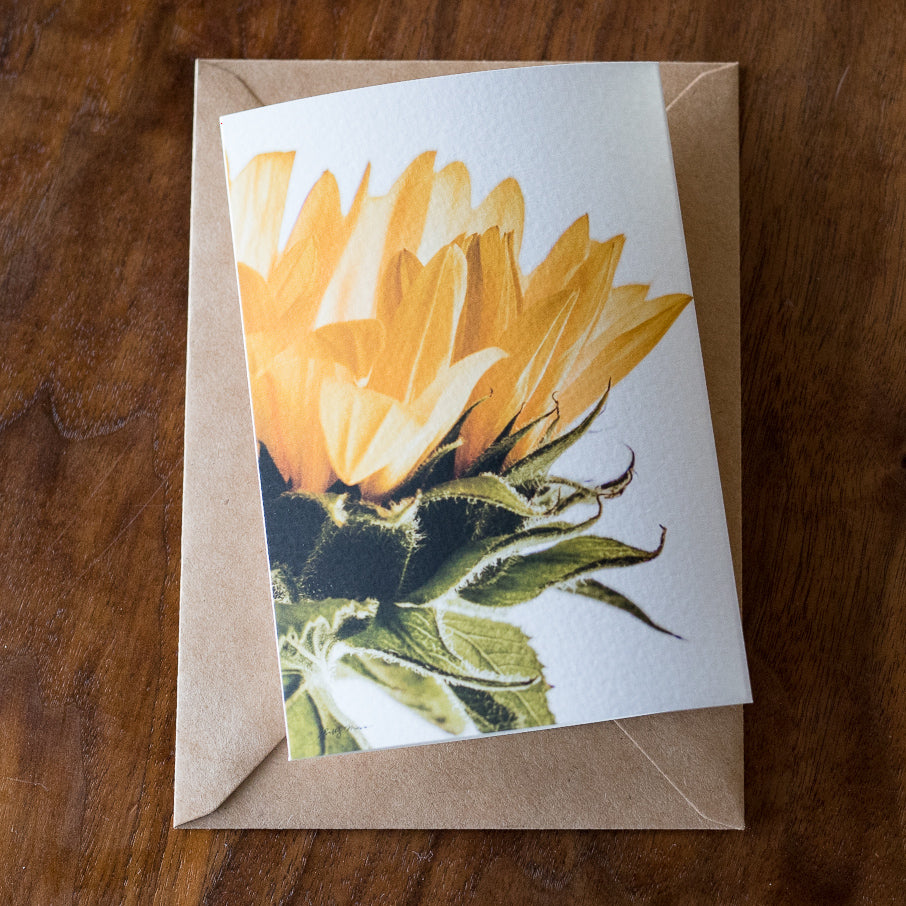Sunflower Card Set