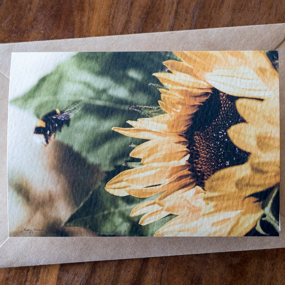 Sunflower Card Set