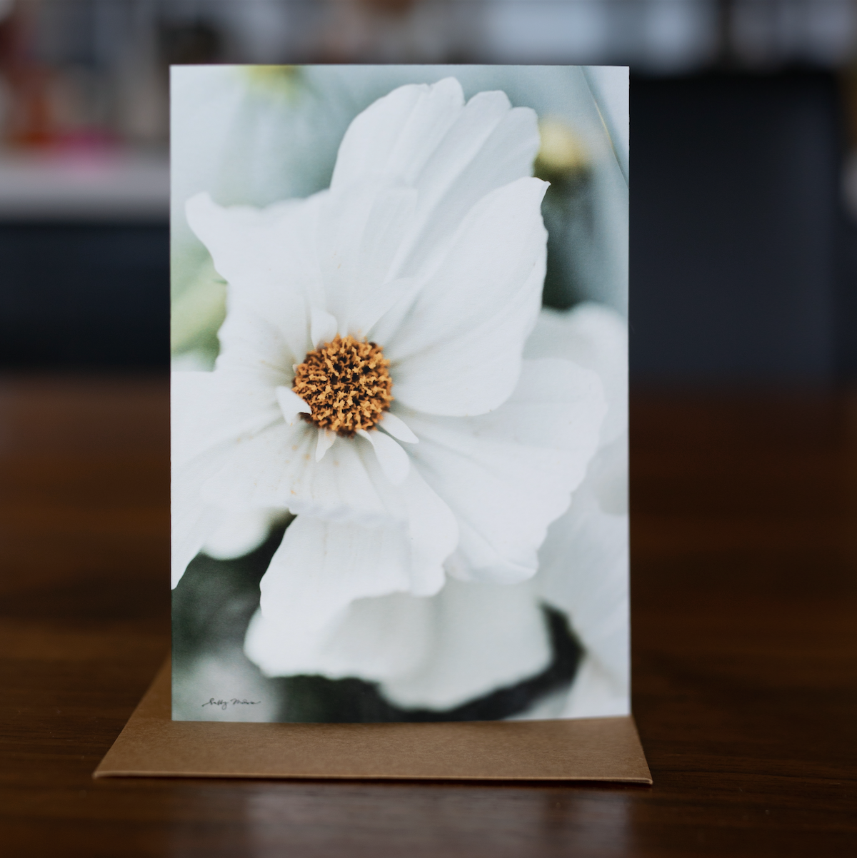 Fresh Blooms Card Set