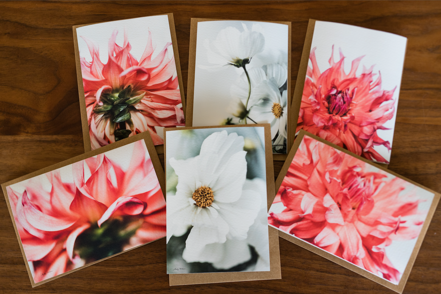 Fresh Blooms Card Set