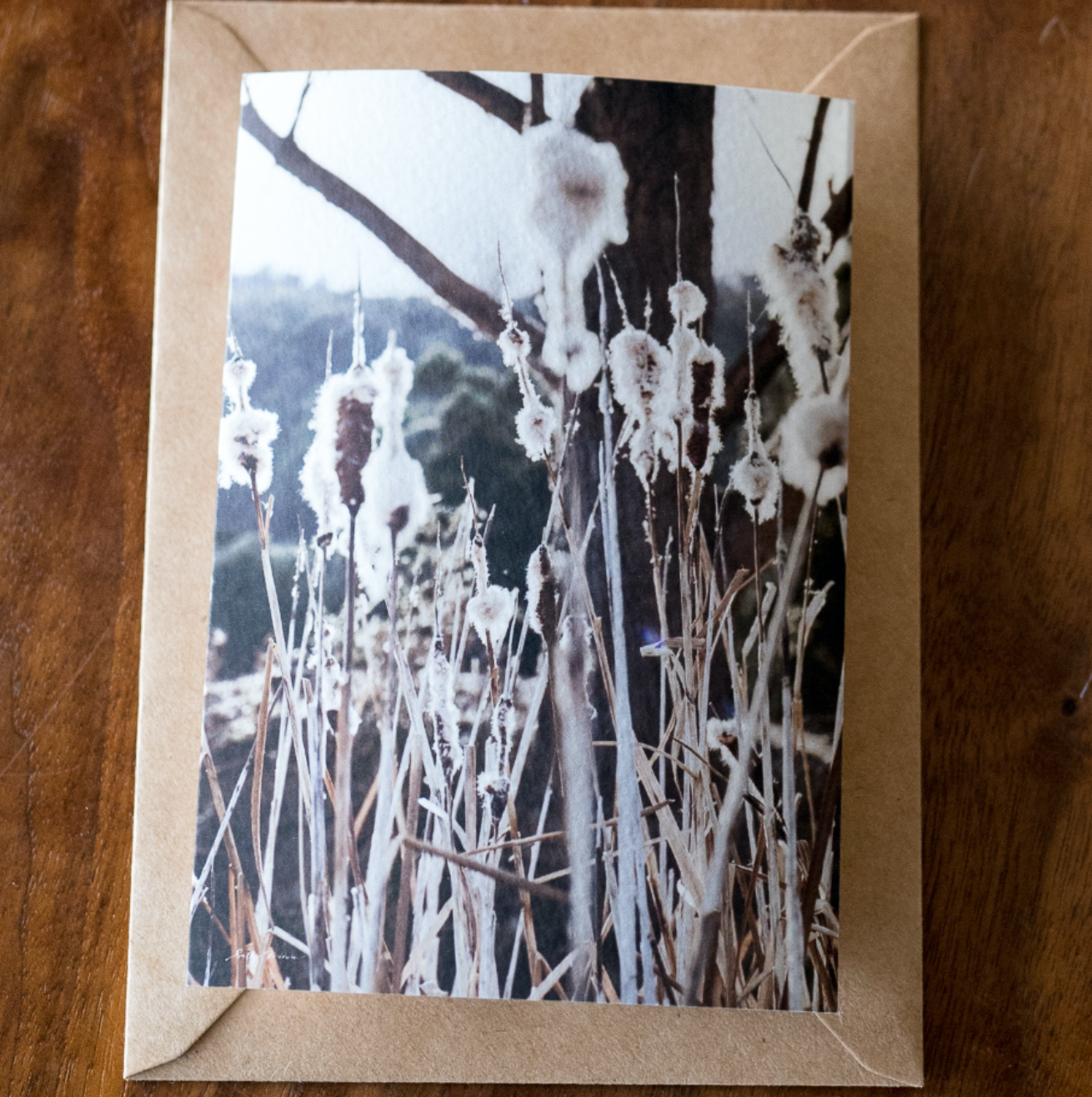 Best Sellers Card Set