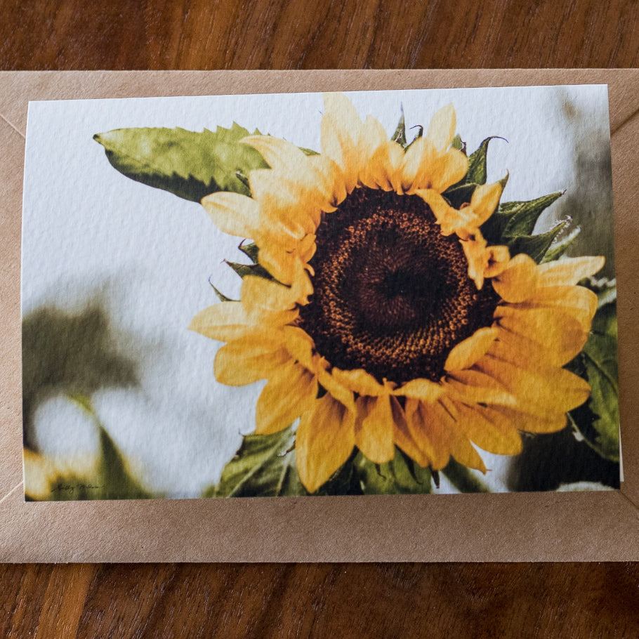 Sunflower Card Set