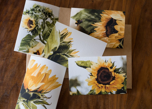 Sunflower Card Set