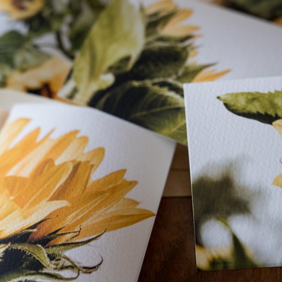 Sunflower Card Set