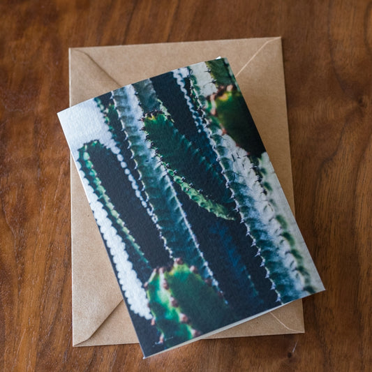 Urban Cactus Card