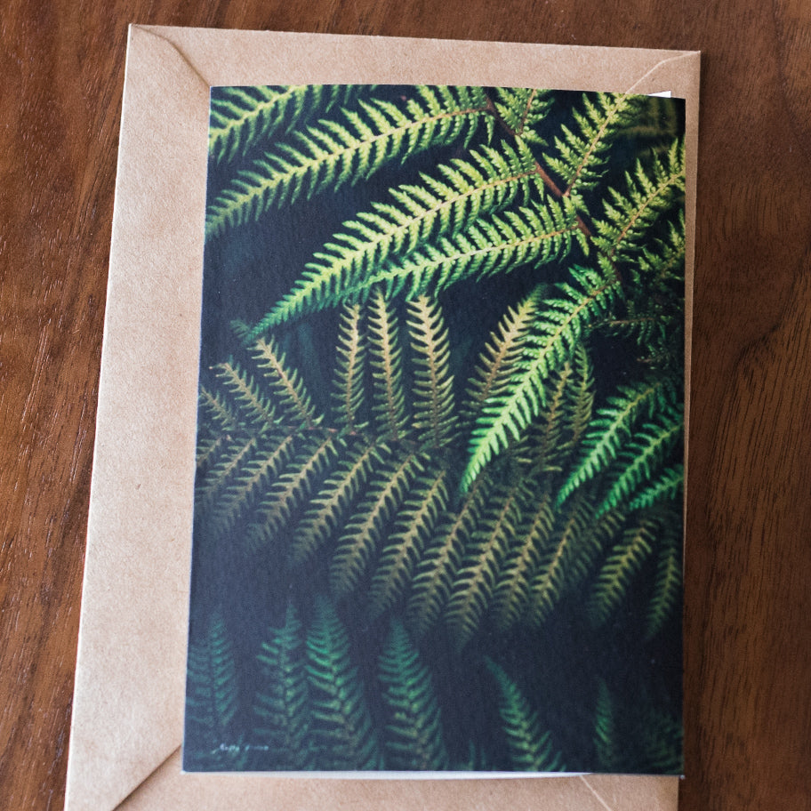 Urban Fern Card