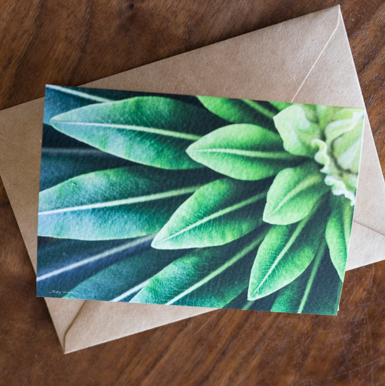 Best Sellers Card Set